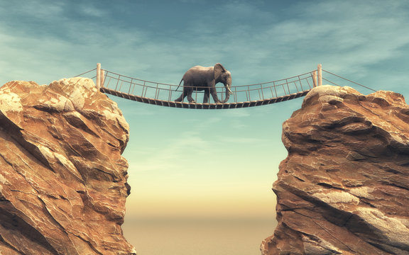 Fototapeta An elephant goes on a wooden bridge