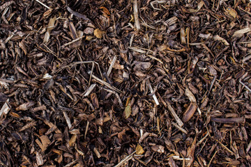 broken bark texture