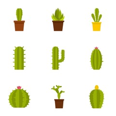 Cactus plant icon set, flat style