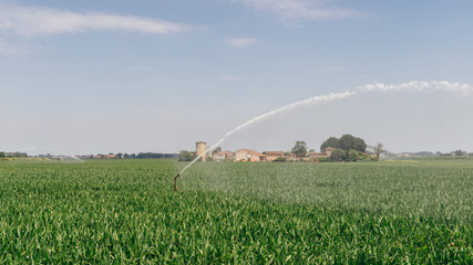 Irrigation system pumping water on a wheat field, Italy