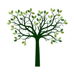 Color Tree with Leaves. Vector Illustration.