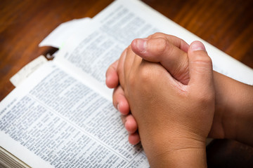 Obraz premium Prayer Hands