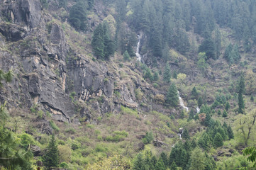 Fototapeta premium Mountain waterfall surrounded by pine trees