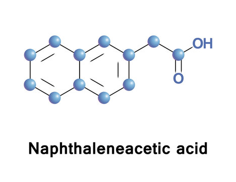 Naphthaleneacetic acid