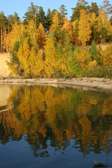 Panoramic landscape with river and autumn forest on the high Bank.