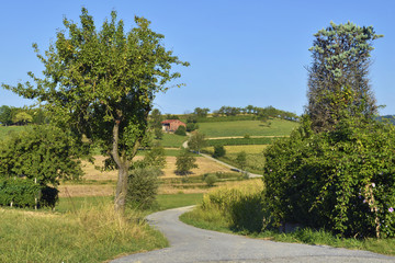 Strada di campagna verso la collina.