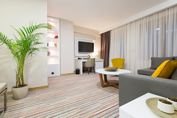 Interior of a luxury hotel apartment