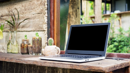 Laptop and cactus near a window.