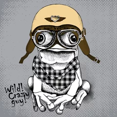  Poster with image of a frog wearing retro motorcyclist helmet and checkered neckerchief. Vector illustration. © Afishka