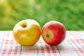 Two apples on a napkin on a natural background
