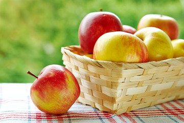 Basket with apples on a natural background of foliage close up