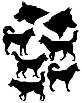 siberian husky silhouette collection - black vector dog set against white