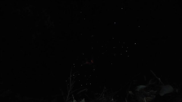 Fuochi d'artificio