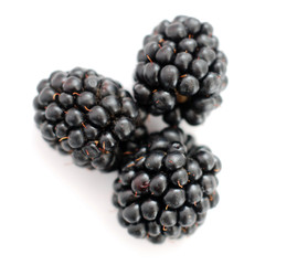 ripe blackberries fruits , studio shot