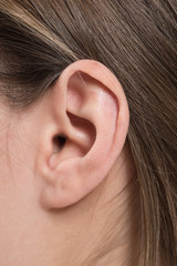 Close up of a female ear