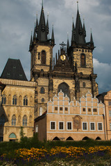 Fototapeta premium Fiori davanti la chiesa di Santa Maria di Tyn a Praga in Boemia, Repubblica Ceca