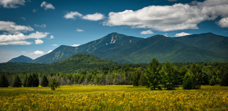 Fototapeta Whiteface Mountain on a sunny summer afternoon looking west from Wilmington, New York. The carve-outs for the ski trails can be seen from this direction.