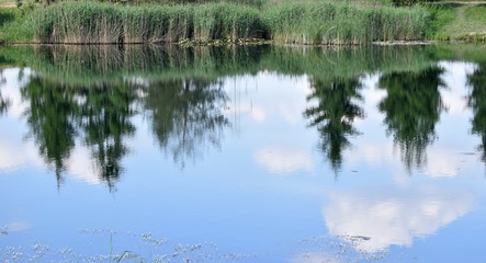 odpoczynek nad wodą © Robert Bobela