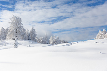 Fototapeta na wymiar Verschneite Winterlandschaft