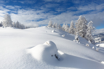 Obraz na płótnie Canvas Winter in the Austrian Alps