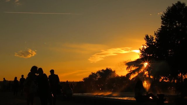Silhouettes of people in the park at sunset