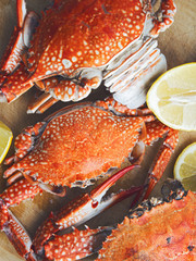 Crab background - obrazy, fototapety, plakaty