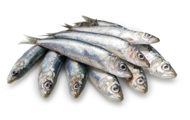 Sardinas