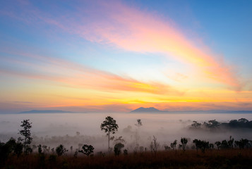 Dramatic fog, sunrise with beautiful vivid and romantic blue sky at Thung Sa Lang Luang, between Phitsanulok and Petchabun, Thailand.