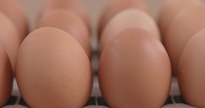 Egg packed