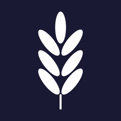 Ears of wheat, cereal. Ear of oats. rye ears