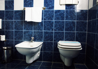 sanitari