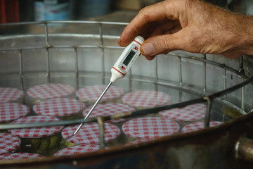 A man checks the temperature of a pasteurization - obrazy, fototapety, plakaty