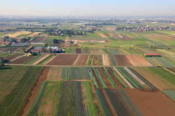 Nürnberg Knoblauchsland Landschaft Feld Felder Sommer Natur Luftbild