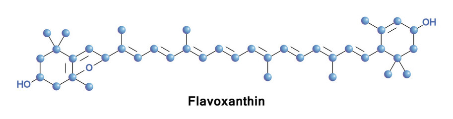 Flavoxanthin is a natural xanthophyll