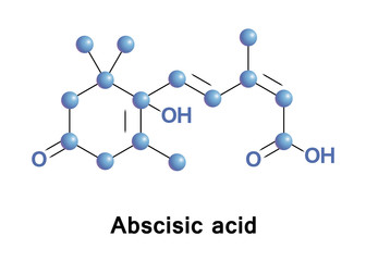Abscisic acid is a plant hormone. ABA functions in many plant developmental processes, including bud dormancy, and can be involved in stress responses as well