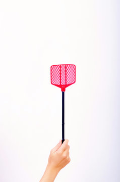 fly swatter in a woman's hand