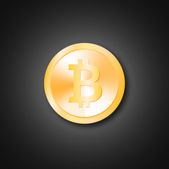 bitcoin coin icon