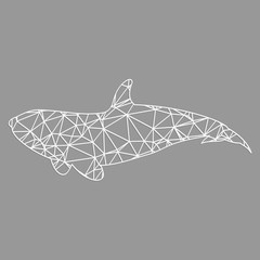 Low poly whale 3d with realistic shadow on gray