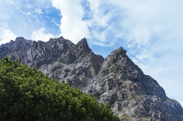 Fototapeta na wymiar Rock in the alps with mountain pines