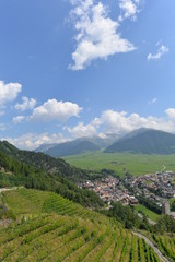 Weinanbau, Burgeis im Vinschgau - Südtirol 