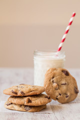 Delicious Cookies and Milk for Dessert