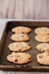 Homemade Chocolate Chip Cookies on a Baking Sheet