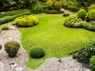 Naklejka premium top view of green grass field plants and trees in the small garden
