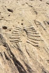 Ancient petroglyphs depicting fish and boats in Jebel Jassassiyeh in Northern Qatar.