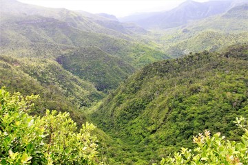 Fototapeta premium ile maurice