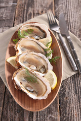 fresh oyster