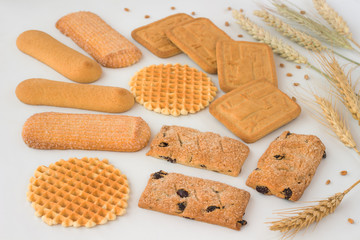 Cookies different sorts among the ears of wheat and oats on a white background.