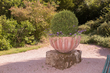 A large flower pot in the french garden