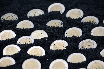 Euro coins in black sand close up photo