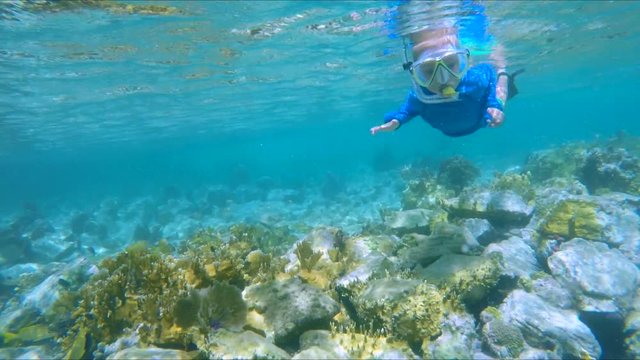 young boy snokeling on a coral reef in the Caribbean
